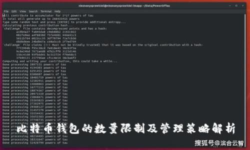 比特币钱包的数量限制及管理策略解析