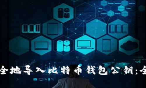 如何安全地导入比特币钱包公钥：全面指南