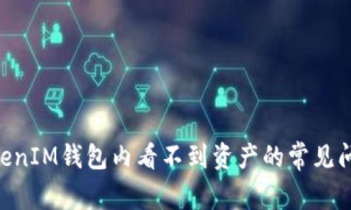 解决TokenTokenIM钱包内看不到资产的常见问题及解决方案