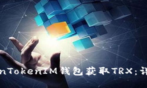 如何通过TokenTokenIM钱包获取TRX：详细指南与技巧