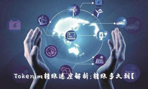 Tokenim转账速度解析：转账多久到？