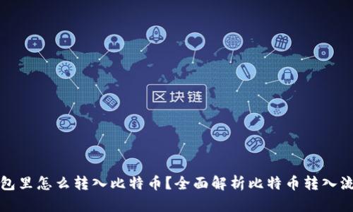 钱包里怎么转入比特币？全面解析比特币转入流程