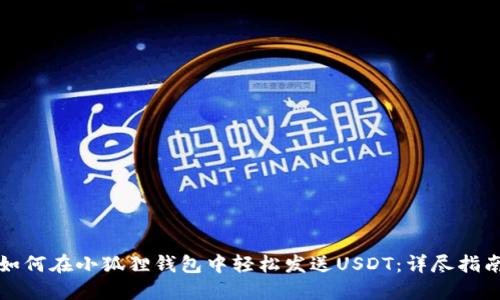 如何在小狐狸钱包中轻松发送USDT：详尽指南
