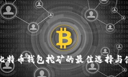 轻量级比特币钱包挖矿的最佳选择与使用指南