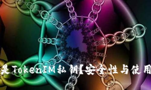 什么是TokenIM私钥？安全性与使用指南