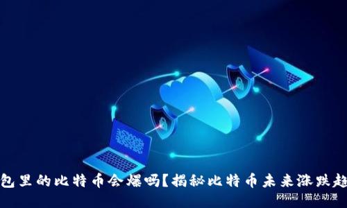 钱包里的比特币会爆吗？揭秘比特币未来涨跌趋势