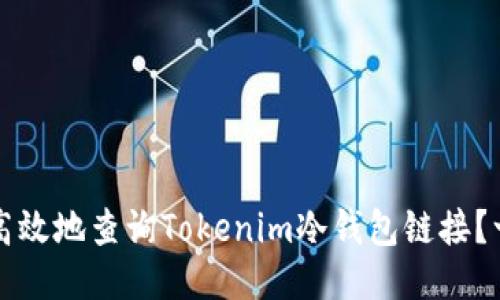 如何安全高效地查询Tokenim冷钱包链接？一站式指南