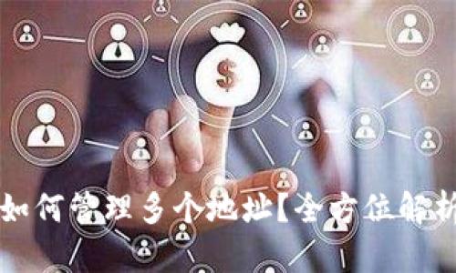 比特币钱包如何管理多个地址？全方位解析与实用技巧