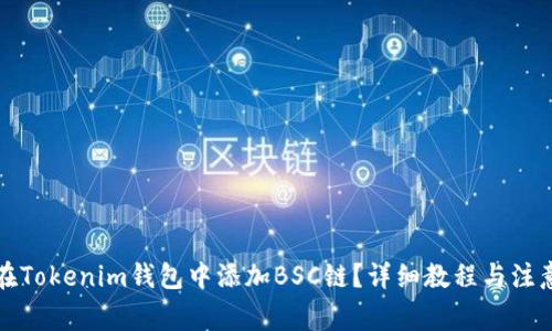 如何在Tokenim钱包中添加BSC链？详细教程与注意事项
