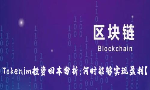 Tokenim投资回本分析：何时能够实现盈利？