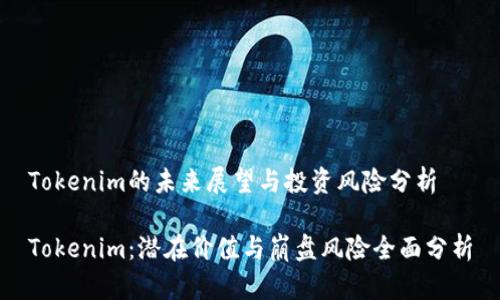 Tokenim的未来展望与投资风险分析

Tokenim：潜在价值与崩盘风险全面分析