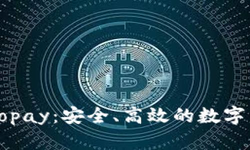 比特币手机钱包Copay：安全、高效的数字货币管理解决方案