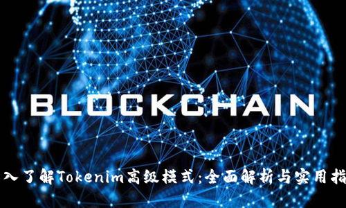 深入了解Tokenim高级模式：全面解析与实用指南