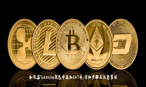 如何在Tokenim钱包中添加SAT币：详细步骤与注意事项