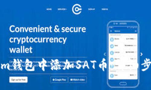 如何在Tokenim钱包中添加SAT币：详细步骤与注意事项