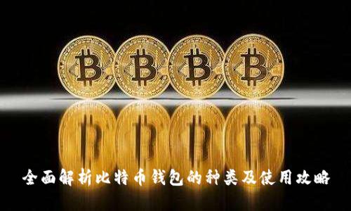 全面解析比特币钱包的种类及使用攻略