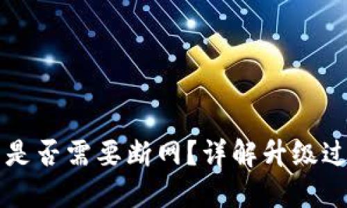 虚拟币升级钱包是否需要断网？详解升级过程中的网络需求