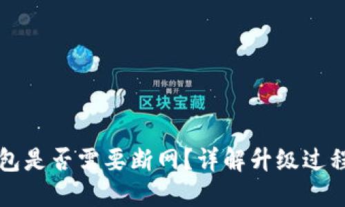 虚拟币升级钱包是否需要断网？详解升级过程中的网络需求