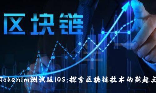 Tokenim测试版iOS：探索区块链技术的新起点