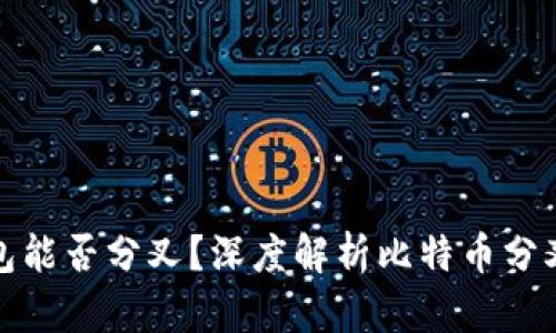 比特币放钱包能否分叉？深度解析比特币分叉机制与影响