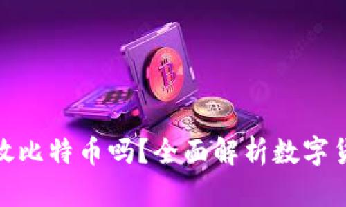: 瑞波币钱包能放比特币吗？全面解析数字货币钱包的兼容性