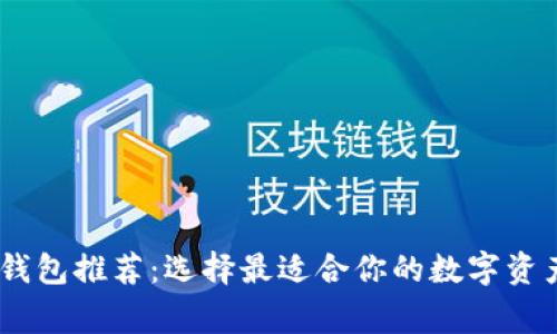 USDT常见钱包推荐：选择最适合你的数字资产存储方案
