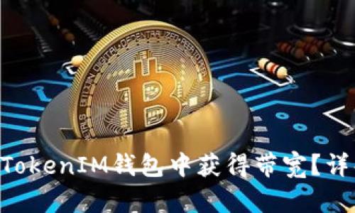 如何在TokenTokenIM钱包中获得带宽？详解步骤与技巧