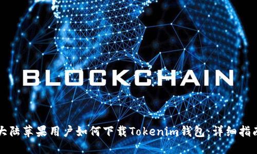 大陆苹果用户如何下载Tokenim钱包：详细指南