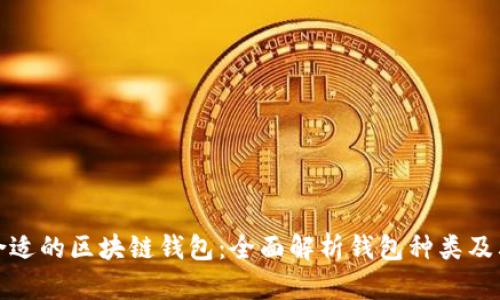 选择合适的区块链钱包：全面解析钱包种类及其特点