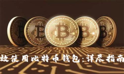 如何高效使用比特币钱包：详尽指南与技巧