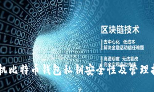 手机比特币钱包私钥安全性及管理指南