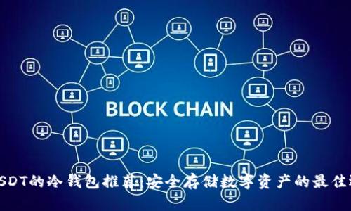 存USDT的冷钱包推荐：安全存储数字资产的最佳选择