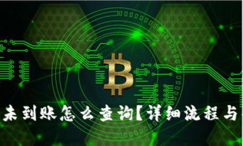 Tokenim未到账怎么查询？详细流程与解决方案