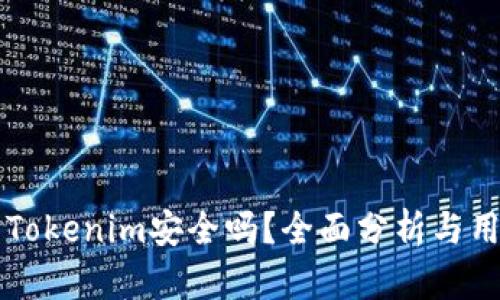 资金藏Tokenim安全吗？全面分析与用户指南