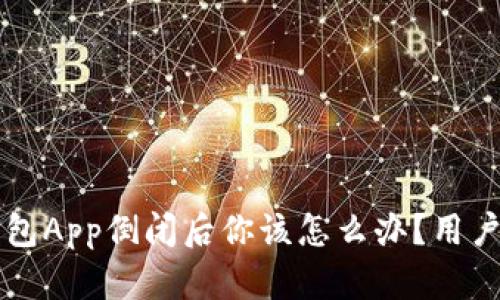 比特币钱包App倒闭后你该怎么办？用户必读指南