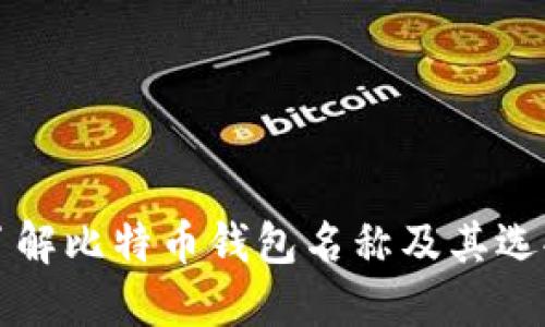 全面了解比特币钱包名称及其选择标准