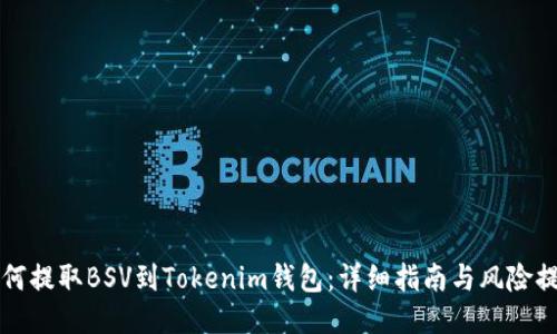 如何提取BSV到Tokenim钱包：详细指南与风险提示
