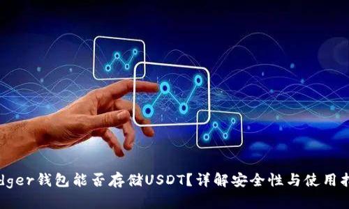 Ledger钱包能否存储USDT？详解安全性与使用指南