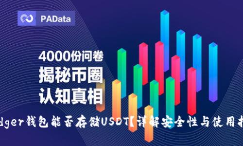 Ledger钱包能否存储USDT？详解安全性与使用指南