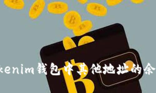 如何查询Tokenim钱包中其他地址的余额：全面指南