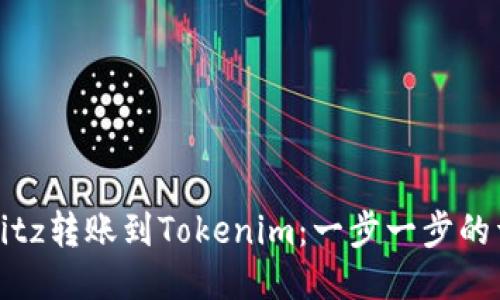 如何将Bitz转账到Tokenim：一步一步的详细指南