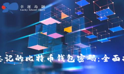 如何找回忘记的比特币钱包密码：全面指南与技巧