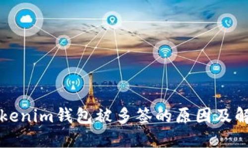 正版Tokenim钱包被多签的原因及解决方案
