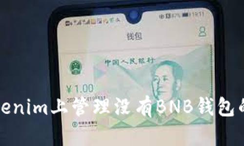 如何在Tokenim上管理没有BNB钱包的加密资产