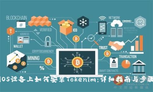 iOS设备上如何安装Tokenim：详细指南与步骤