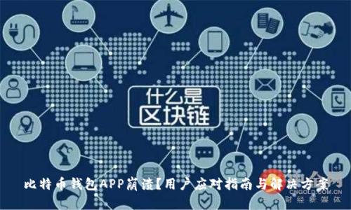 比特币钱包APP崩溃？用户应对指南与解决方案