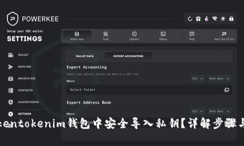 如何在Tokentokenim钱包中安全导入私钥？详解步骤与注意事项