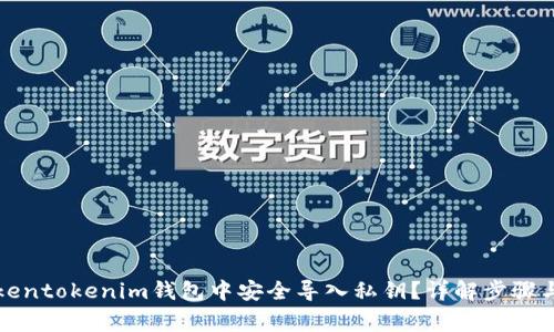 如何在Tokentokenim钱包中安全导入私钥？详解步骤与注意事项