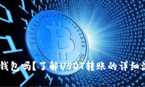 USDT能转账到钱包吗？了解USDT转账的详细流程和注意事项