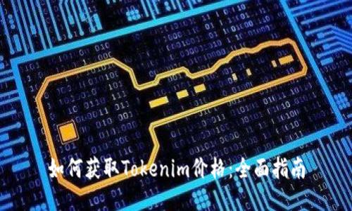 如何获取Tokenim价格：全面指南